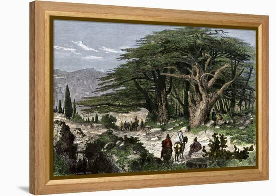 Travelers Stopping to Rest Among a Grove of Cedars in Lebanon-null-Framed Premier Image Canvas