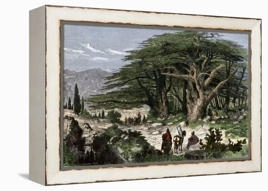 Travelers Stopping to Rest Among a Grove of Cedars in Lebanon-null-Framed Premier Image Canvas