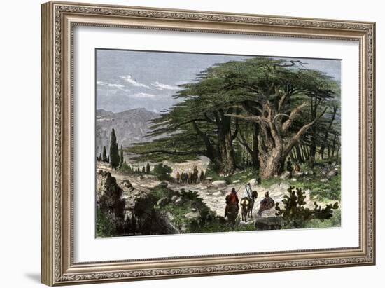 Travelers Stopping to Rest Among a Grove of Cedars in Lebanon-null-Framed Giclee Print