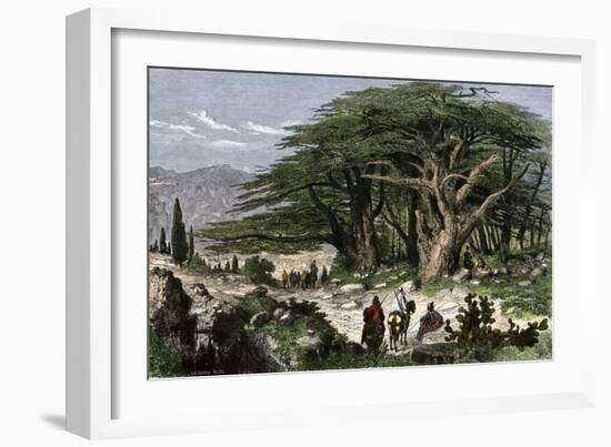 Travelers Stopping to Rest Among a Grove of Cedars in Lebanon-null-Framed Giclee Print