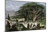 Travelers Stopping to Rest Among a Grove of Cedars in Lebanon-null-Mounted Giclee Print
