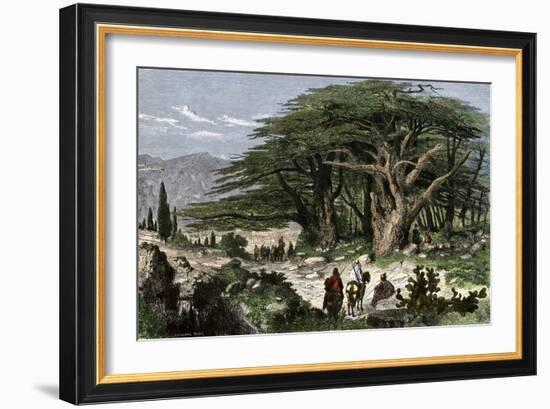 Travelers Stopping to Rest Among a Grove of Cedars in Lebanon--Framed Giclee Print
