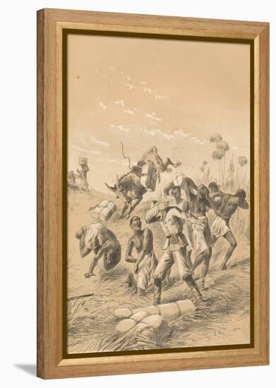 Travelers Stung By Bees, c1880-null-Framed Premier Image Canvas