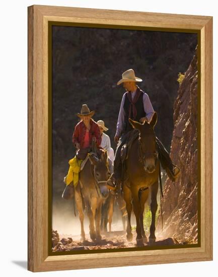 Traveling Via Mule, Grand Canyon National Park, Arizona, Usa-Paul Colangelo-Framed Premier Image Canvas