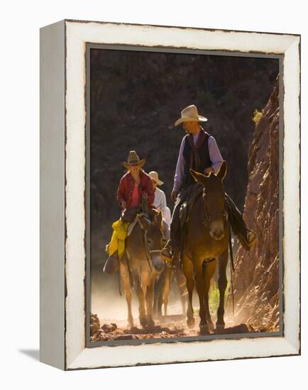 Traveling Via Mule, Grand Canyon National Park, Arizona, Usa-Paul Colangelo-Framed Premier Image Canvas