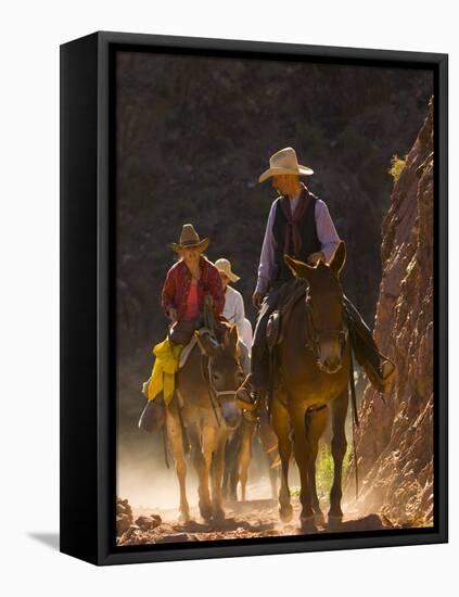 Traveling Via Mule, Grand Canyon National Park, Arizona, Usa-Paul Colangelo-Framed Premier Image Canvas