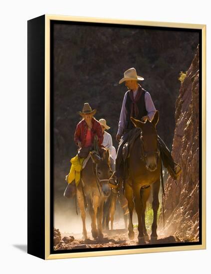 Traveling Via Mule, Grand Canyon National Park, Arizona, Usa-Paul Colangelo-Framed Premier Image Canvas
