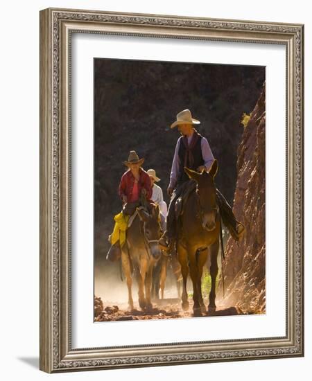 Traveling Via Mule, Grand Canyon National Park, Arizona, Usa-Paul Colangelo-Framed Photographic Print