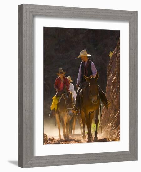 Traveling Via Mule, Grand Canyon National Park, Arizona, Usa-Paul Colangelo-Framed Photographic Print