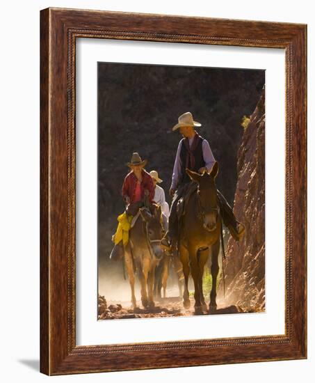 Traveling Via Mule, Grand Canyon National Park, Arizona, Usa-Paul Colangelo-Framed Photographic Print