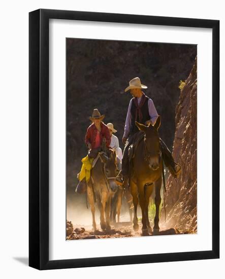 Traveling Via Mule, Grand Canyon National Park, Arizona, Usa-Paul Colangelo-Framed Photographic Print