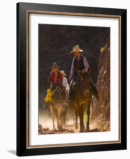 Traveling Via Mule, Grand Canyon National Park, Arizona, Usa-Paul Colangelo-Framed Photographic Print