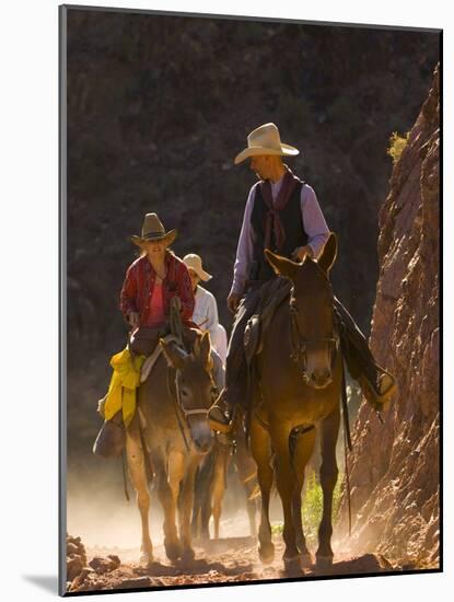 Traveling Via Mule, Grand Canyon National Park, Arizona, Usa-Paul Colangelo-Mounted Photographic Print