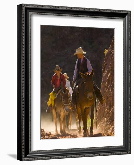 Traveling Via Mule, Grand Canyon National Park, Arizona, Usa-Paul Colangelo-Framed Photographic Print