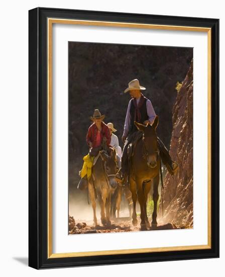 Traveling Via Mule, Grand Canyon National Park, Arizona, Usa-Paul Colangelo-Framed Photographic Print