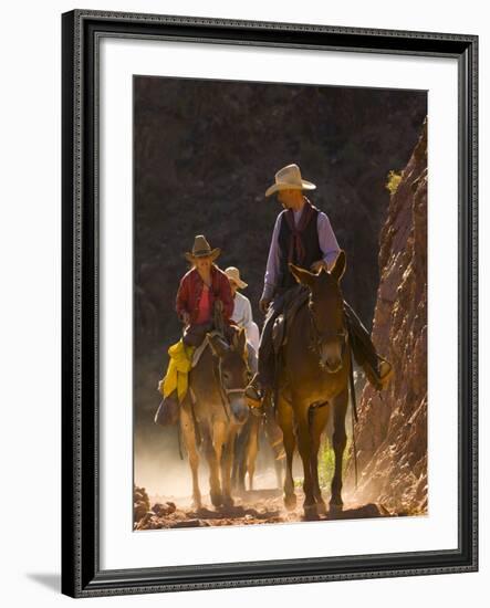 Traveling Via Mule, Grand Canyon National Park, Arizona, Usa-Paul Colangelo-Framed Photographic Print