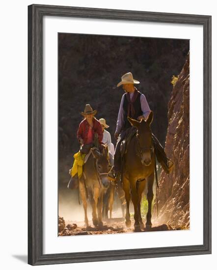 Traveling Via Mule, Grand Canyon National Park, Arizona, Usa-Paul Colangelo-Framed Photographic Print