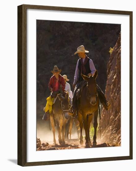 Traveling Via Mule, Grand Canyon National Park, Arizona, Usa-Paul Colangelo-Framed Photographic Print