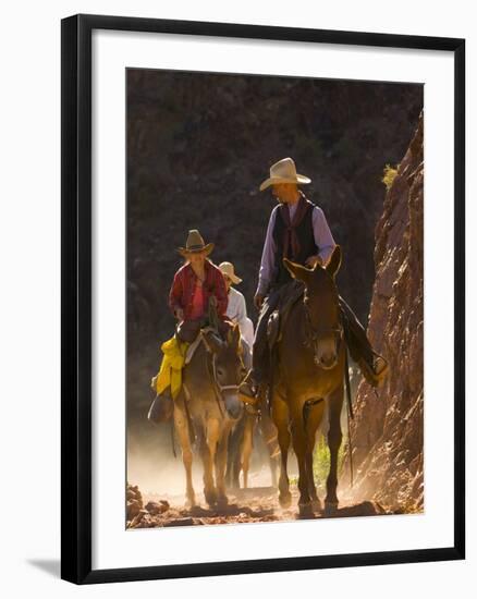 Traveling Via Mule, Grand Canyon National Park, Arizona, Usa-Paul Colangelo-Framed Photographic Print