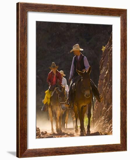 Traveling Via Mule, Grand Canyon National Park, Arizona, Usa-Paul Colangelo-Framed Photographic Print