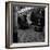 Travellers Boarding a Train to Rotterdam, Centraal Station, Amsterdam, Netherlands, 1963-Michael Walters-Framed Photographic Print