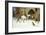 Travellers Entering the Courtyard of an Inn in Winter-George Wright-Framed Giclee Print