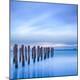 Premium Photographic Print