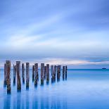 Rocks and Sea Stacks at Nugget Point, Otago, New Zealand-Travellinglight-Framed Premier Image Canvas