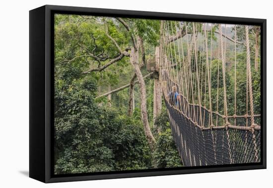 Traversing the 7 bridges high in the canopy of Kakum National Forest-Sheila Haddad-Framed Premier Image Canvas