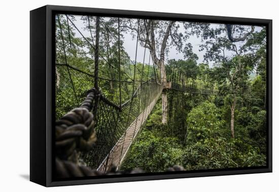 Traversing the 7 bridges high in the canopy of Kakum National Forest-Sheila Haddad-Framed Premier Image Canvas