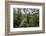 Traversing the 7 bridges high in the canopy of Kakum National Forest-Sheila Haddad-Framed Photographic Print