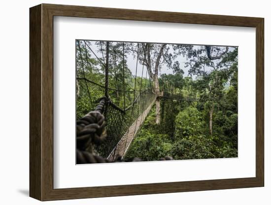 Traversing the 7 bridges high in the canopy of Kakum National Forest-Sheila Haddad-Framed Photographic Print