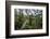 Traversing the 7 bridges high in the canopy of Kakum National Forest-Sheila Haddad-Framed Photographic Print