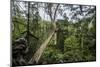 Traversing the 7 bridges high in the canopy of Kakum National Forest-Sheila Haddad-Mounted Photographic Print