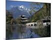 Premium Photographic Print