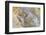 Travertine deposits colored by thermophilic bacteria, Mammoth Hot Springs, Yellowstone-Alan Majchrowicz-Framed Photographic Print