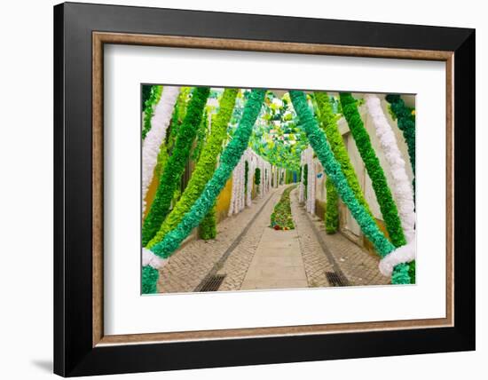 Trays Festival, Neighborhoods are Colorfully Decorated with Paper Flowers and Garlands-Emily Wilson-Framed Photographic Print