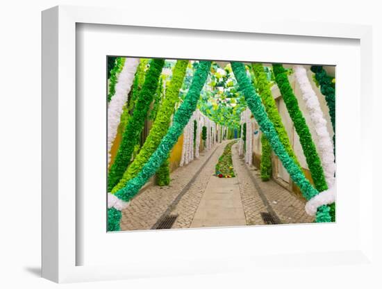 Trays Festival, Neighborhoods are Colorfully Decorated with Paper Flowers and Garlands-Emily Wilson-Framed Photographic Print