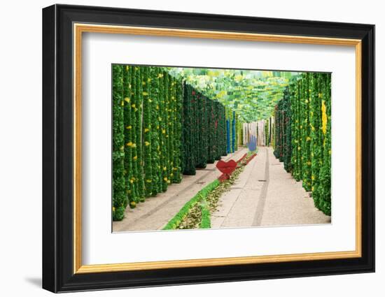 Trays Festival, Neighborhoods are Colorfully Decorated with Paper Flowers and Garlands-Emily Wilson-Framed Photographic Print