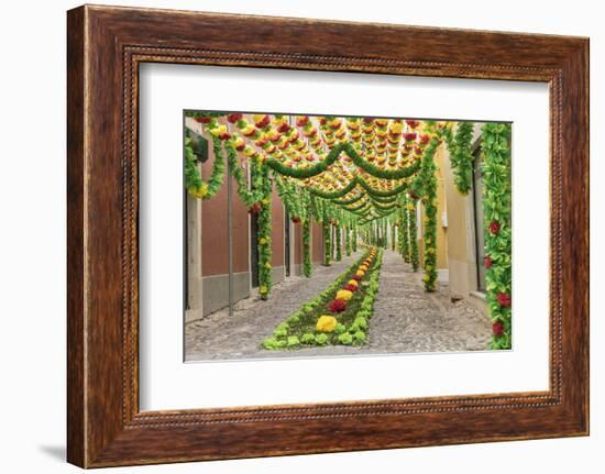 Trays Festival, Neighborhoods are Colorfully Decorated with Paper Flowers and Garlands-Emily Wilson-Framed Photographic Print