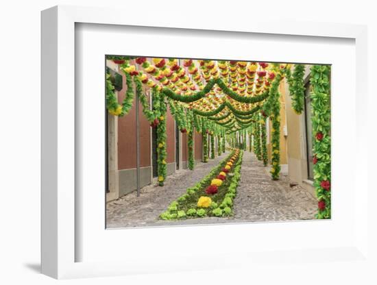 Trays Festival, Neighborhoods are Colorfully Decorated with Paper Flowers and Garlands-Emily Wilson-Framed Photographic Print