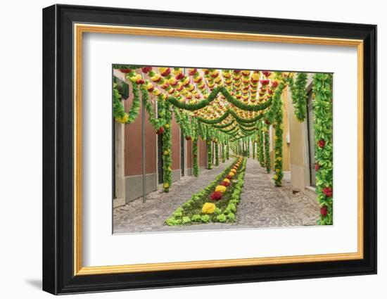 Trays Festival, Neighborhoods are Colorfully Decorated with Paper Flowers and Garlands-Emily Wilson-Framed Photographic Print