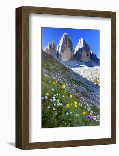 Tre Cime di Lavaredo, Sexten Dolomites, Province of Bolzano, South Tyrol, Italy-null-Framed Art Print