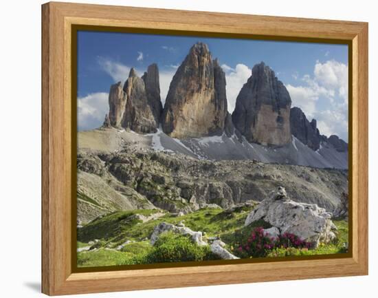 Tre Cime Di Lavaredo (Three Merlons), Meadow, South Tyrol-Rainer Mirau-Framed Premier Image Canvas