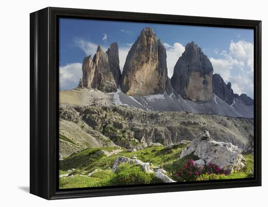 Tre Cime Di Lavaredo (Three Merlons), Meadow, South Tyrol-Rainer Mirau-Framed Premier Image Canvas