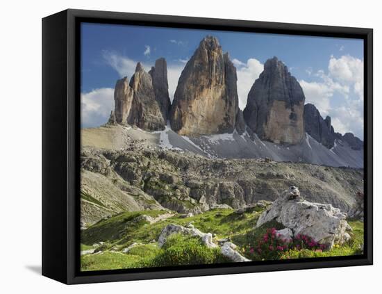 Tre Cime Di Lavaredo (Three Merlons), Meadow, South Tyrol-Rainer Mirau-Framed Premier Image Canvas