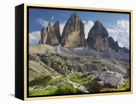 Tre Cime Di Lavaredo (Three Merlons), Meadow, South Tyrol-Rainer Mirau-Framed Premier Image Canvas