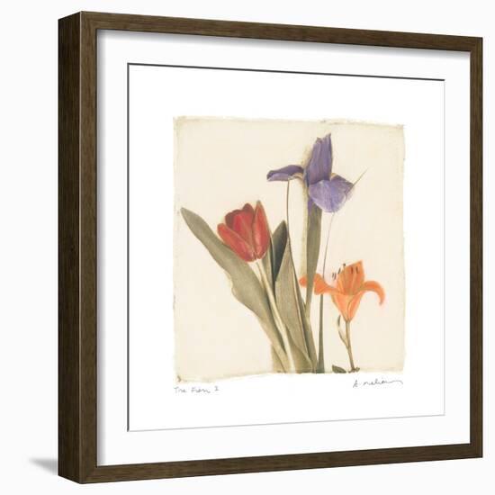 Tre Fiori I-Amy Melious-Framed Premium Giclee Print