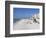 Treasure Island, Gulf Coast, Florida, United States of America, North America-Jeremy Lightfoot-Framed Photographic Print