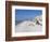 Treasure Island, Gulf Coast, Florida, United States of America, North America-Jeremy Lightfoot-Framed Photographic Print